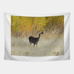 Deer, wildlife, Golden Surprise Tapestry