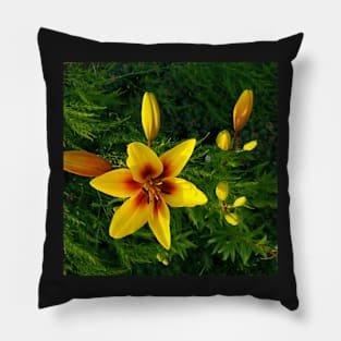 Yellow stargazer lily Pillow