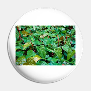 Red and Green Tropics Pin