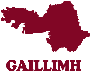 County Galway/Gaillimh Irish Pride Magnet