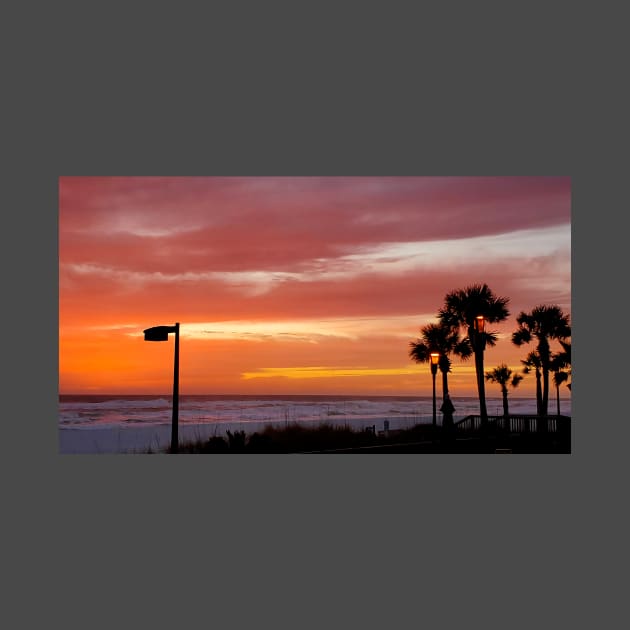 Multicolor Sunset in Palm Trees in Panama City Beach Florida by SeaChangeDesign