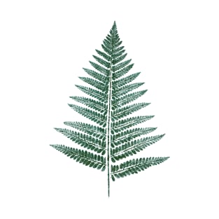 Fern Leaf T-Shirt