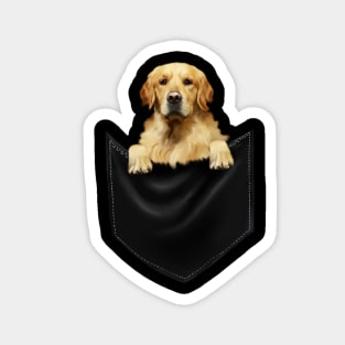Golden Retriever Dog inside Pocket, Dog Lover Magnet