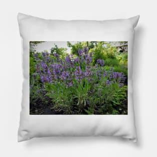 Flowering Sage Pillow