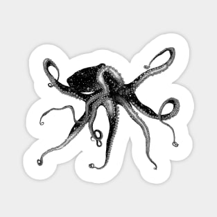 Cosmic Octopus Magnet