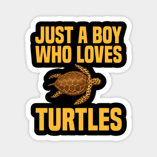 Marine Biologist Biology Turtles Fathers Day Gift Funny Retro Vintage Magnet