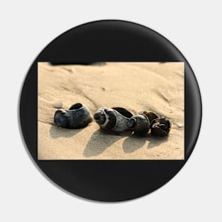 Tower snails housing on the beach Pin