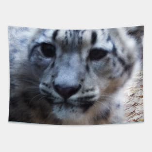 Snow Leopard Tapestry