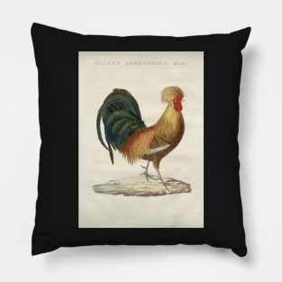 Domestic Hen Pillow