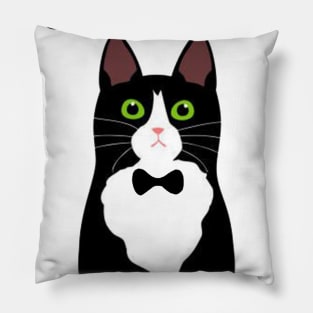 Hard Working Cat Owner T-Shirt Funny Black Cat Gift Pillow