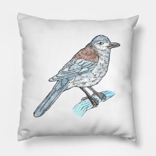 Grey Shrike Thrush Pillow