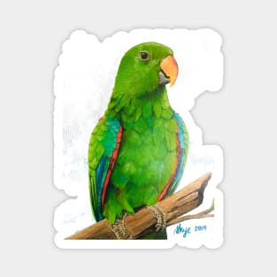 Eclectus Magnet