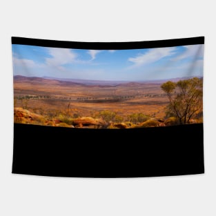 Flinders Ranges Wonoka Hill_9386A-PANO Tapestry