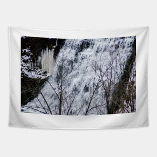 Albion Falls Center Cascades Tapestry