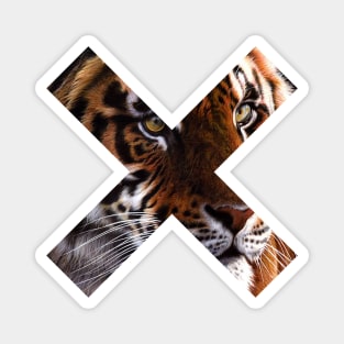 Tiger Face • Letter X Background Cross Shaped Window Aperture Magnet