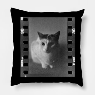 Analog Cat Pillow