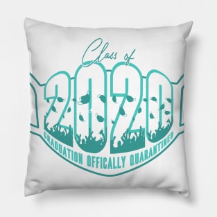 Class of 2020 Mask Pillow