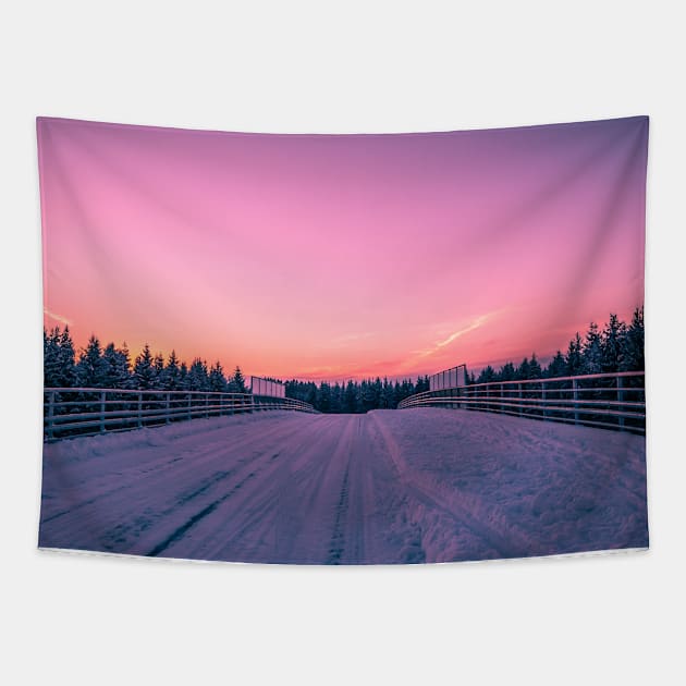 Winter Wonderland Tapestry by iluphoto