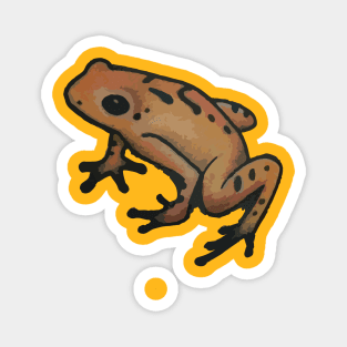 Lost toad Magnet