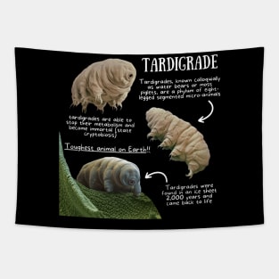 Animal Facts - Tardigrade Tapestry