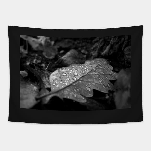 Dew Drops on Autumn Leaves Tapestry by cinema4design