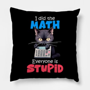 I Did The Math Pillow