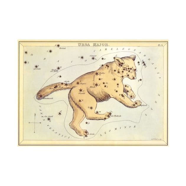 Ursa Major (the Great Bear) Constellation from Urania's Mirror by MasterpieceCafe