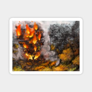 Tree Burning in a Clearing Magnet