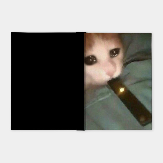 Juul Hitting Cat Cat Notebook Teepublic