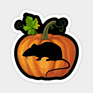 Mouse in pumpkin Magnet