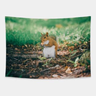 Squirrel! Tapestry