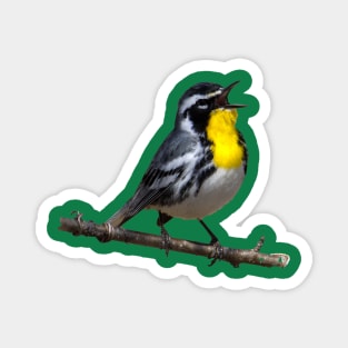 Yellow throated warbler Magnet