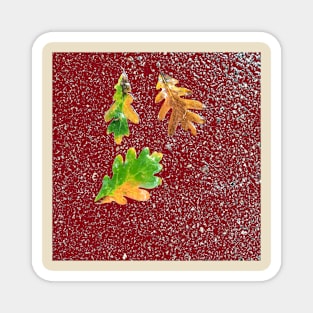 Rainy Leaves on Red Terrazzo Background Magnet