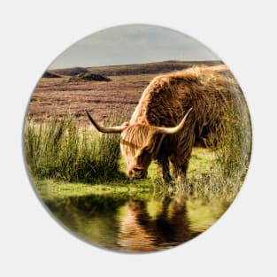 Highland Cow Pin