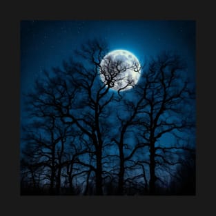 Glowing Moon, Bare Winter Trees, Star-filled Sky T-Shirt