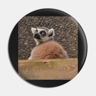 Nosey, Cheeky Ring-Tailed Lemur Pin