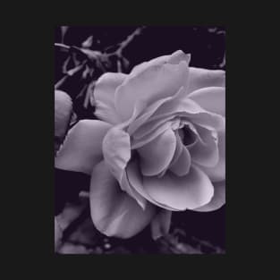 Grey Scale Rose Photo T-Shirt