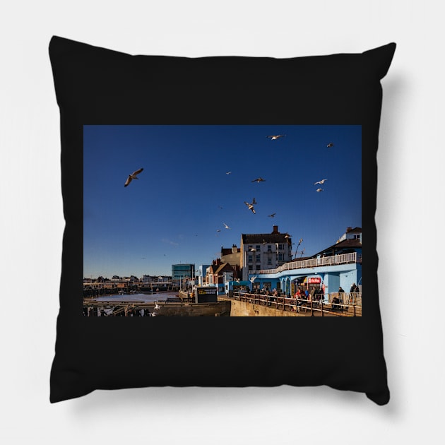 Bridlington Pillow by jasminewang