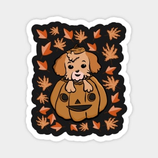 Shih Tzu puppy in Pumpkin autumn leaves pattern Magnet