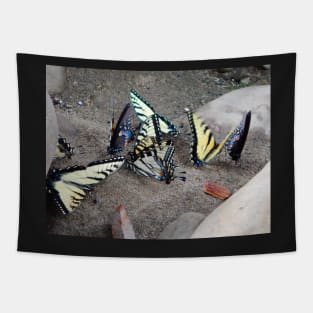 Butterfly Congregation Tapestry