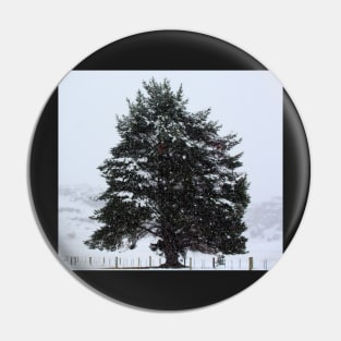 Winter scene Pin