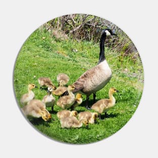 Canada Goose Family of Goslings Pin