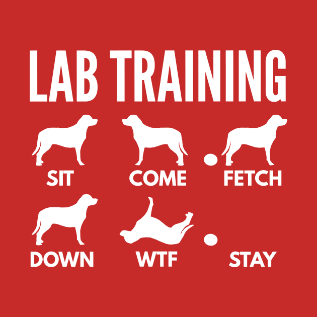 Lab Training Lab Dog Tricks by DoggyStyles