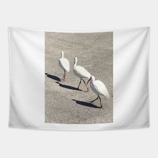 Three pelicans by the river Tapestry