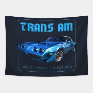 1979 Trans Am - Atlantis Blue Tapestry