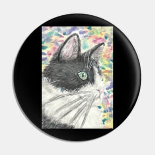 Cute cat face colorful painting Pin