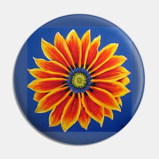 Gazania - New items now available Pin