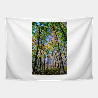 Autumn is Coming in the Forest. Tapestry