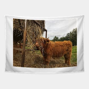 Scottish Highland Cattle Calf 1823 Tapestry