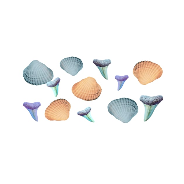 Pastel  Fossils and Shells by AtlanticFossils